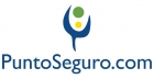 www.puntoseguro.com